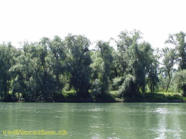 29.06.05 012.jpg